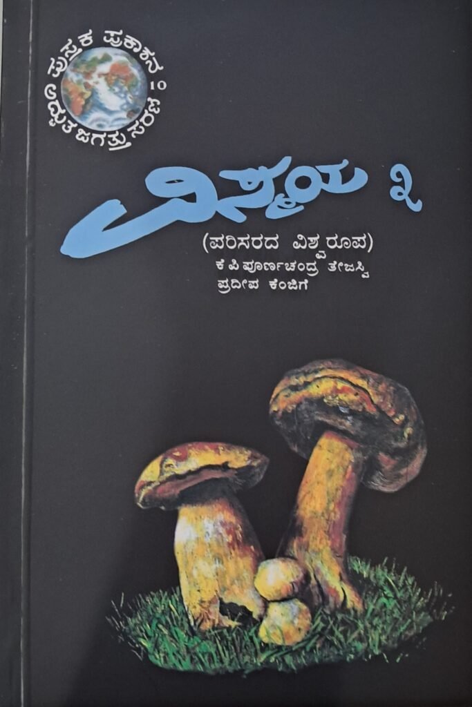 Vismaya 3