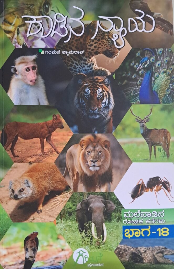 Kaadina Nyaya